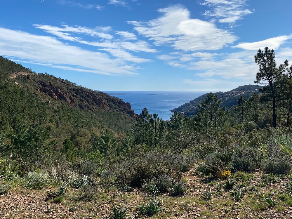 La petite boucle de l’Estérel – 50km – 1000D+