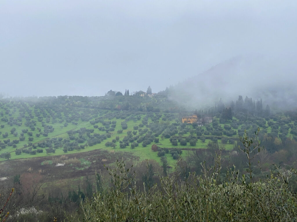 GarvelMan Tuscany 2024