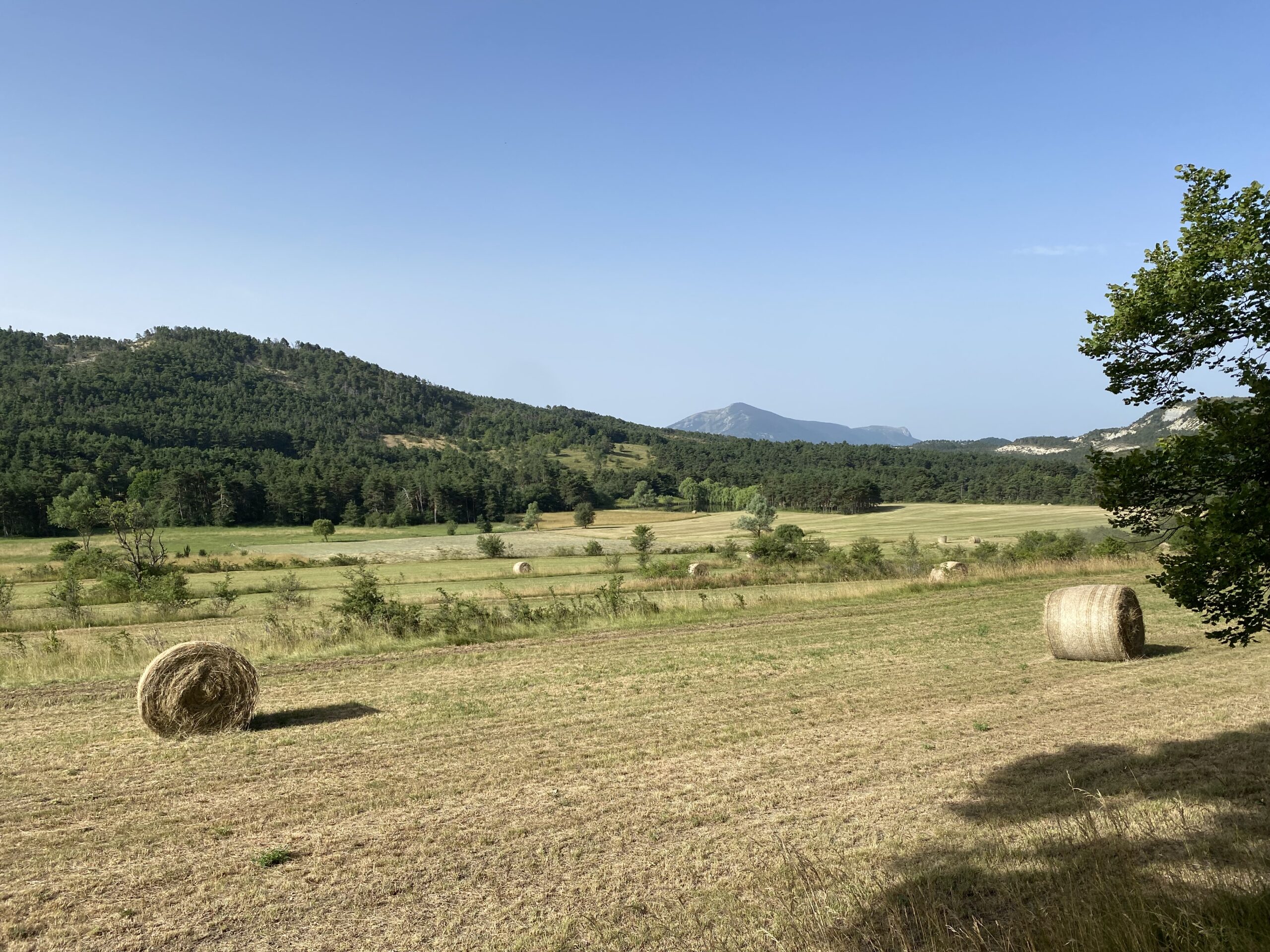 Boucle de Caille et Saint-Auban – 75km – 1050 D+