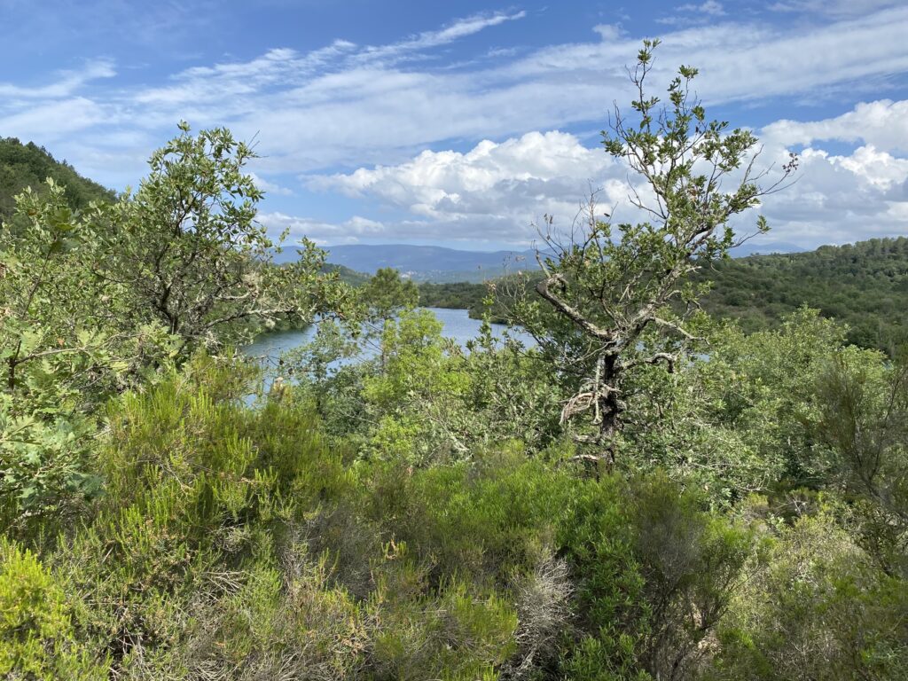 Lac de Saint-Cassien