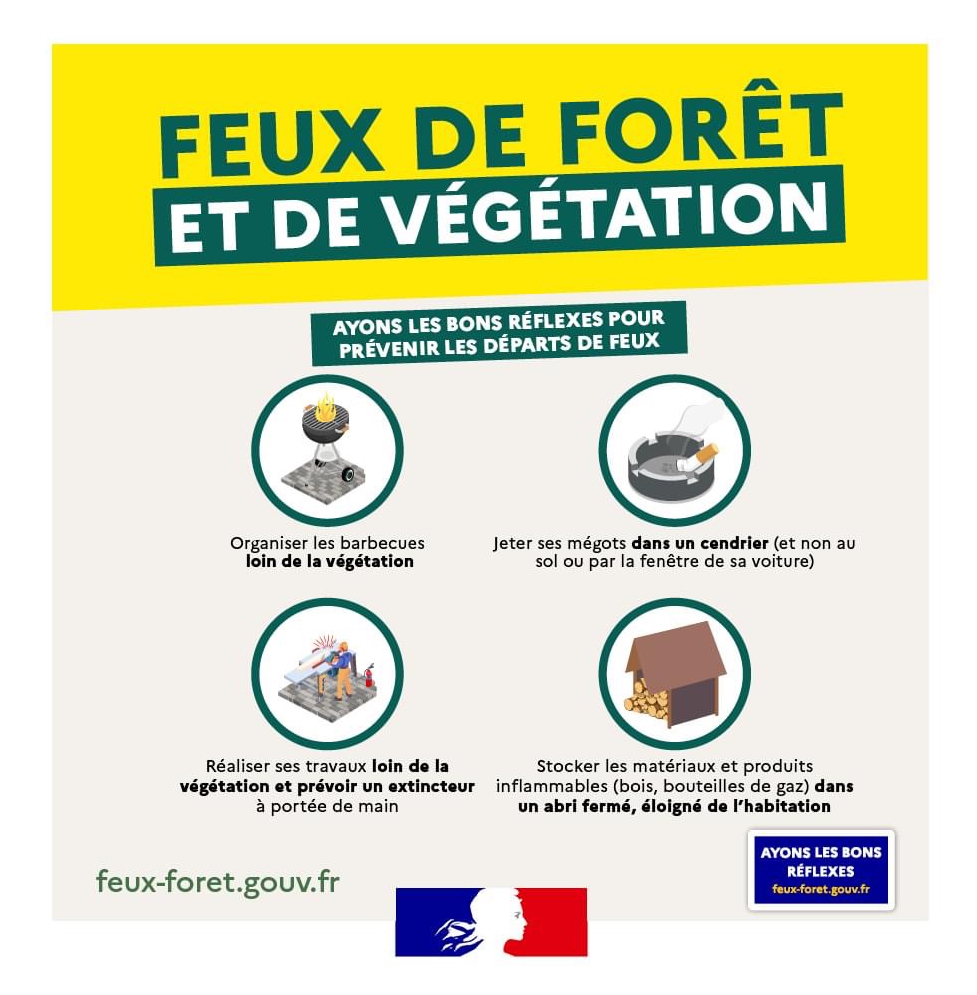 Feux de forêt