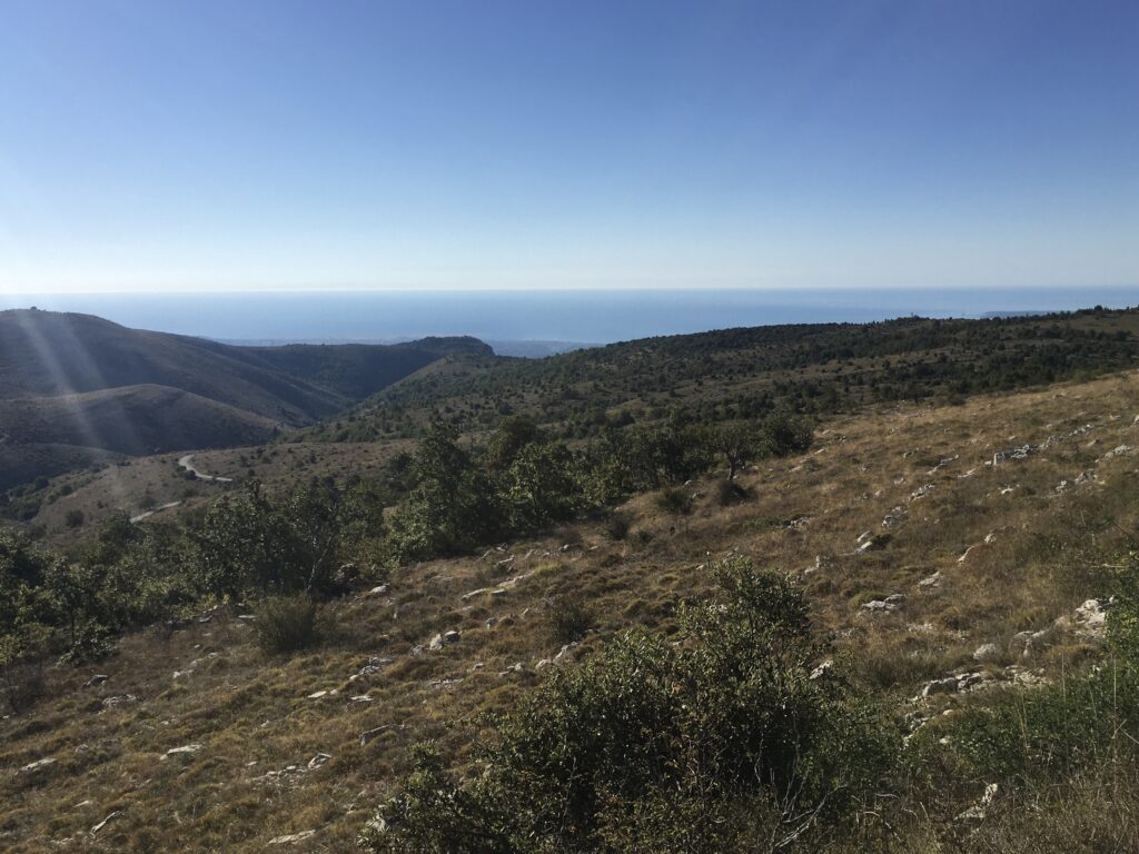 Route du Col de Vence