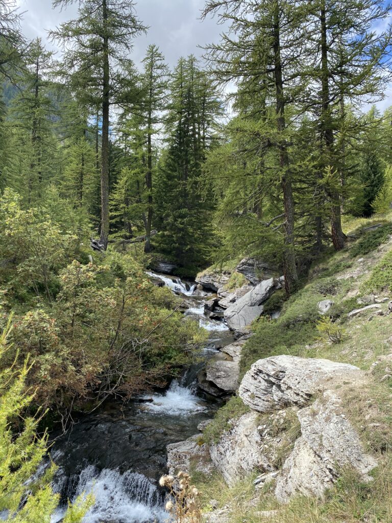 Plateau de Sestrière