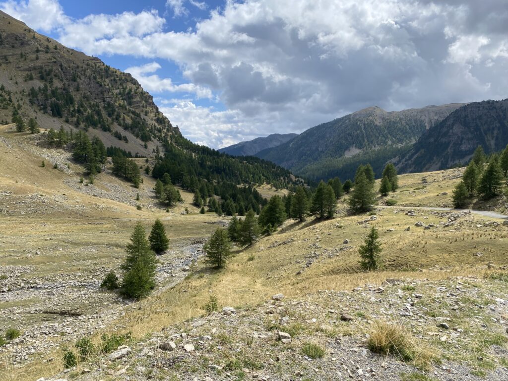 Montée du col de la Moutière