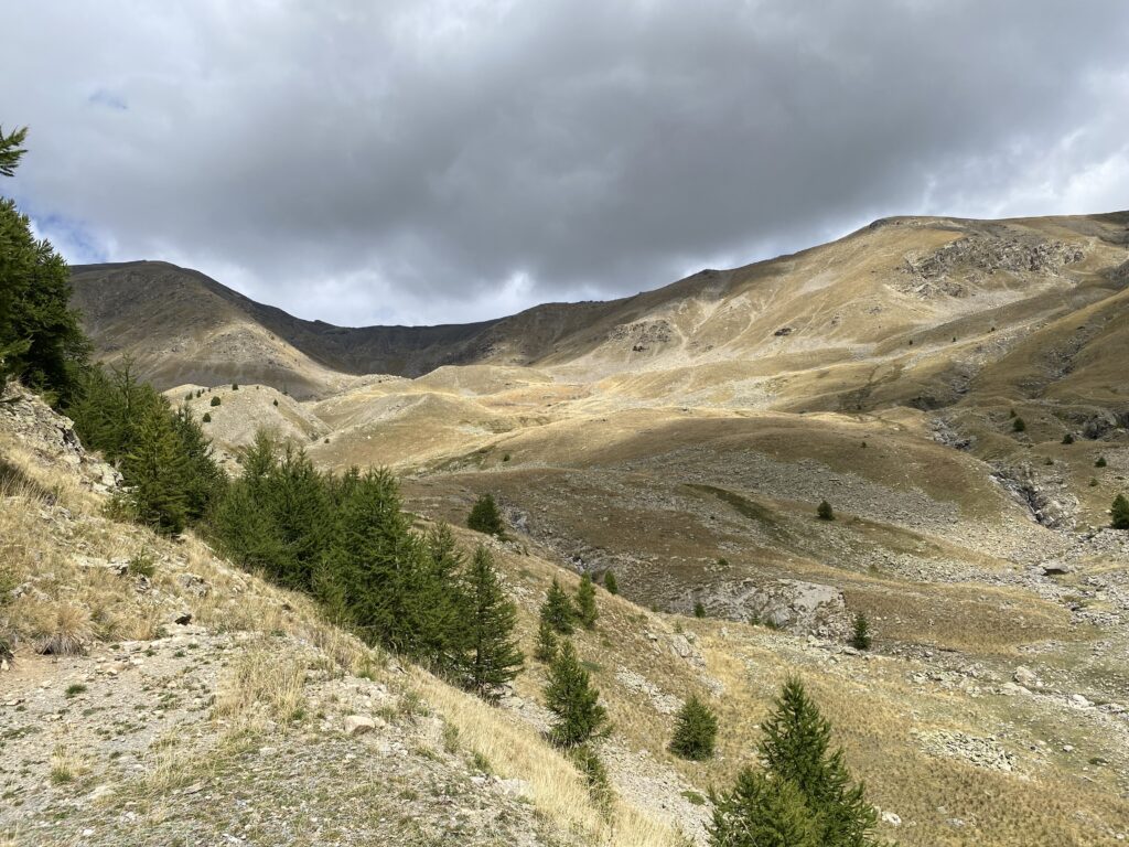 Montée du col de la Moutière