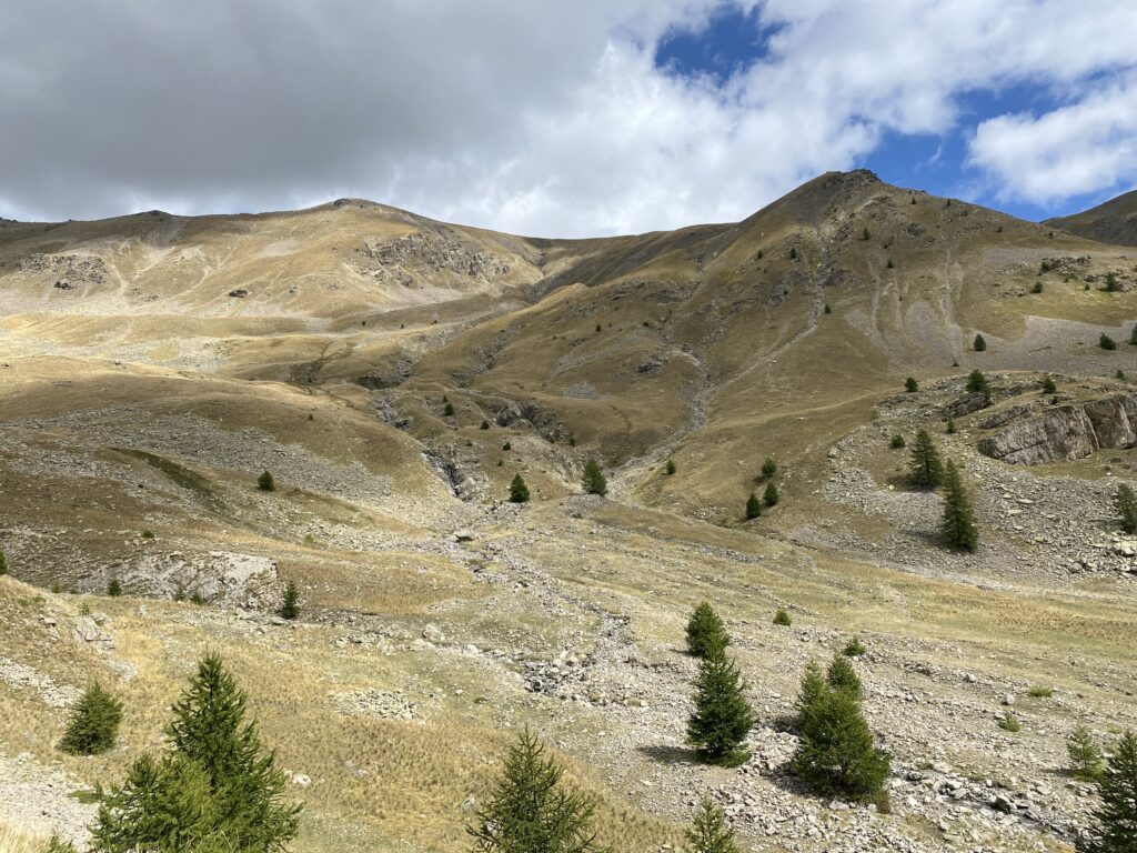 Montée du col de la Moutière