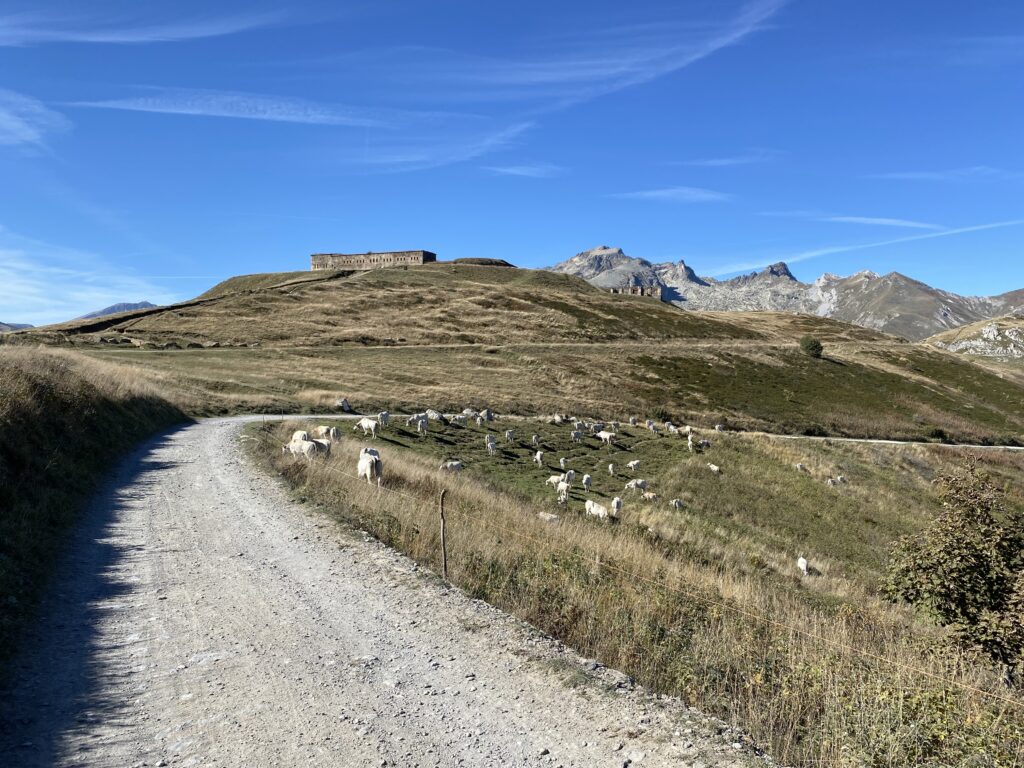 Col de Tende