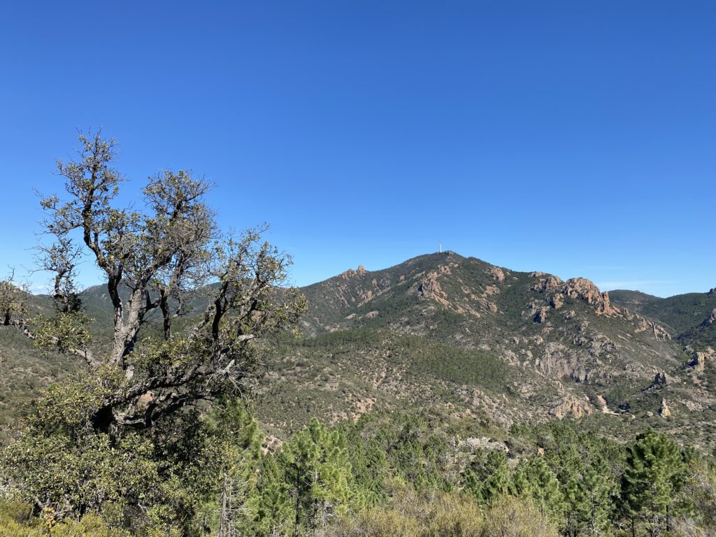 Massif de l'Estérel