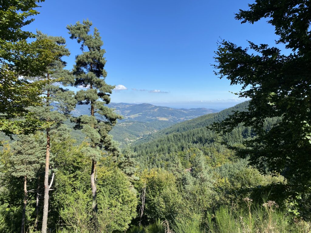 Parc naturel régional des Monts d'Ardèche