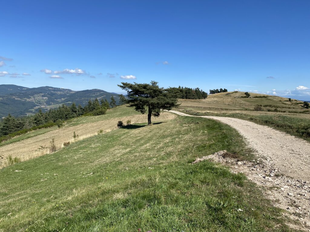 Parc naturel régional des Monts d'Ardèche