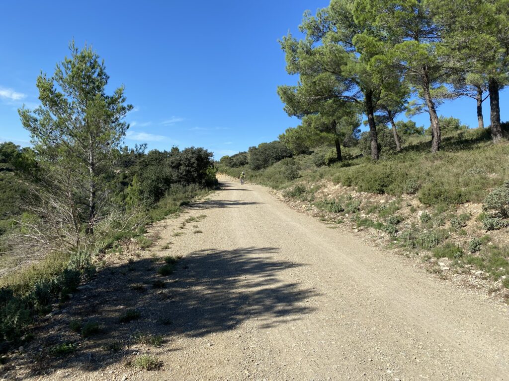 Raid des Alpilles 2024