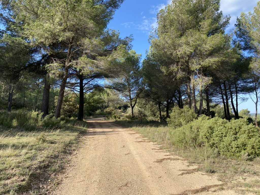 La Sainte-Victoire