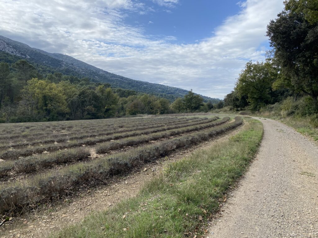 La Sainte-Victoire