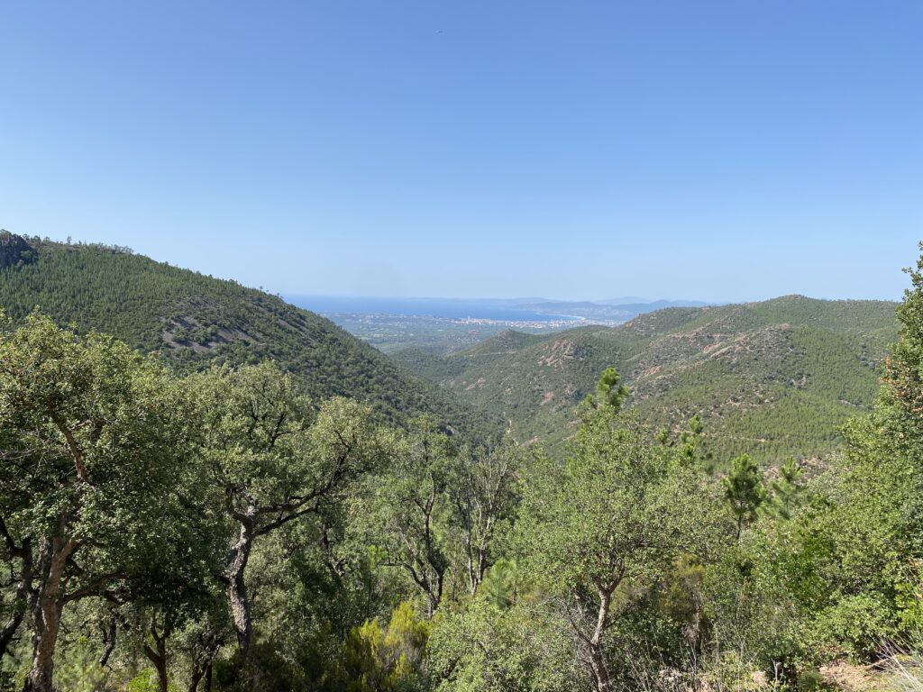 Estérel