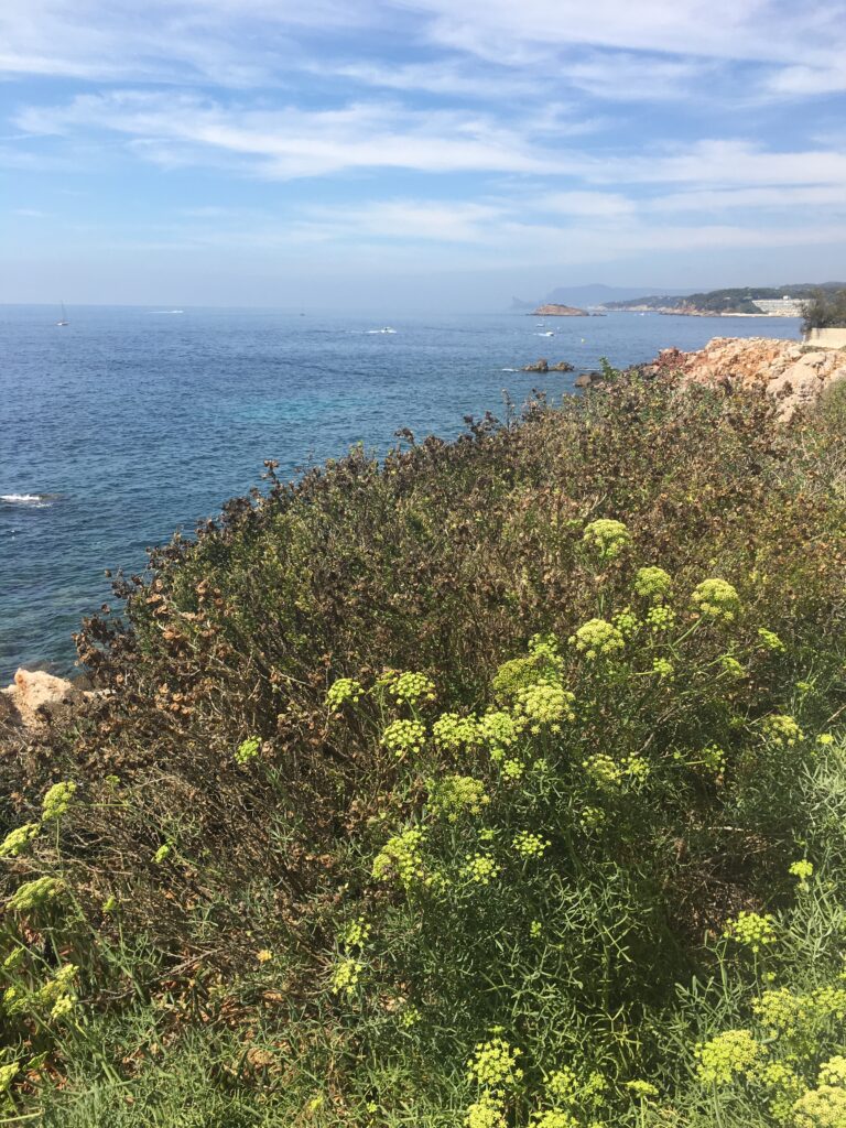 Côte Varoise