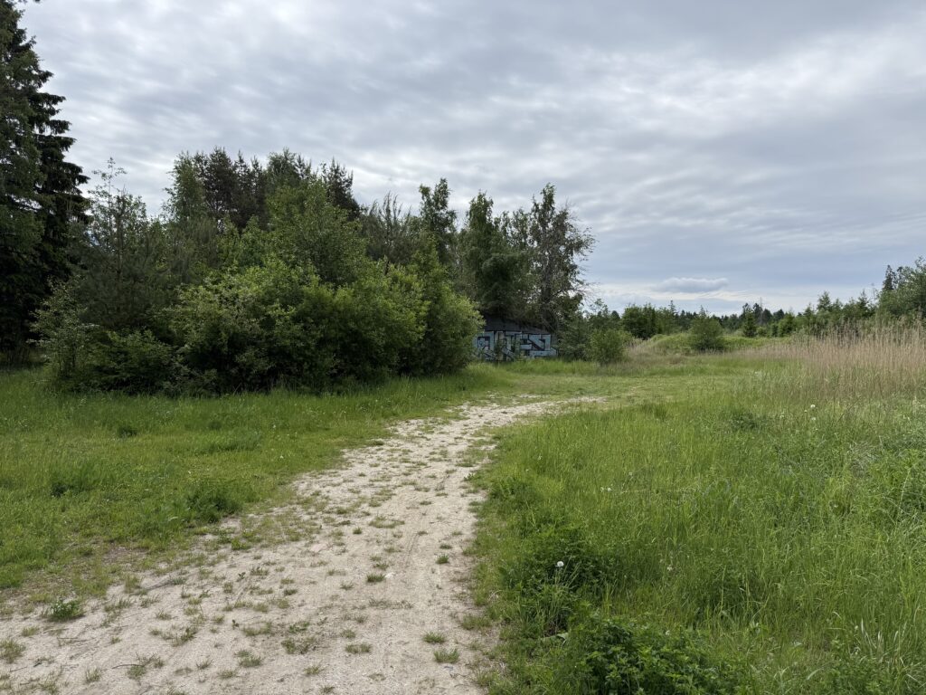 Püünsi