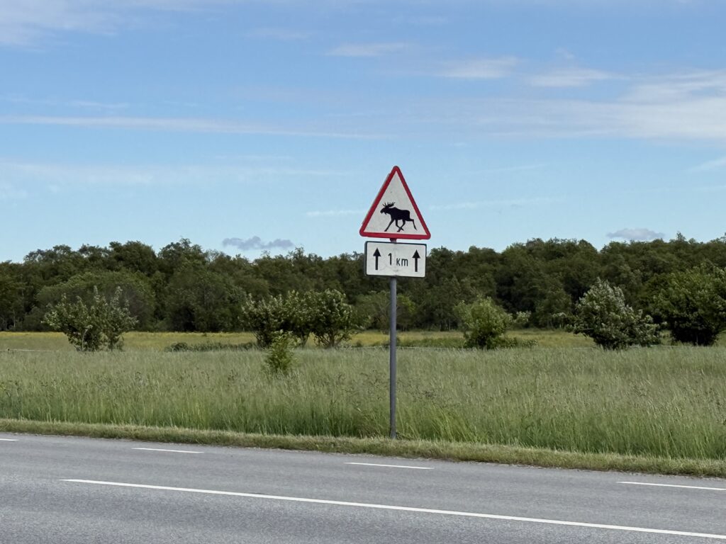 Muraste