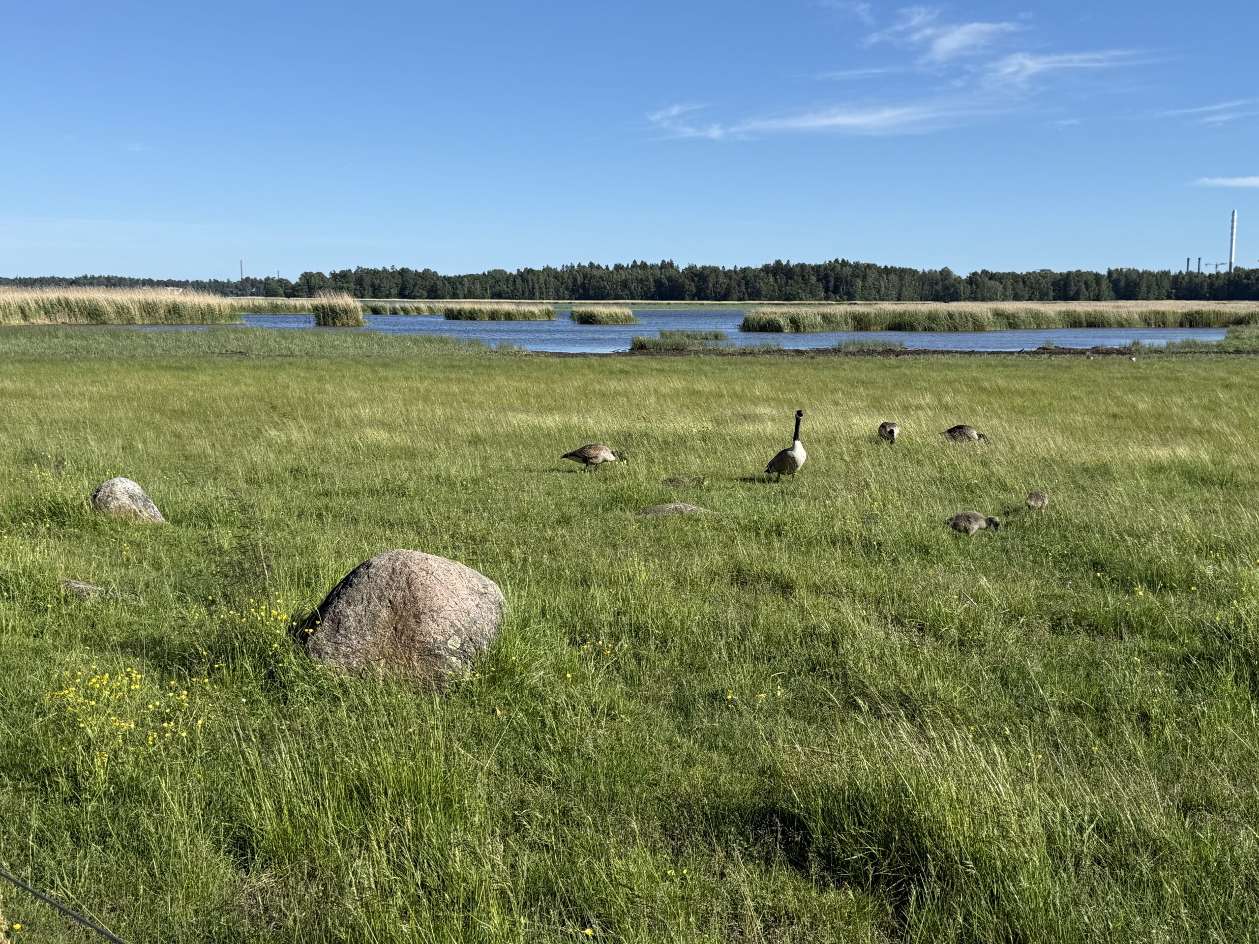 Espoo