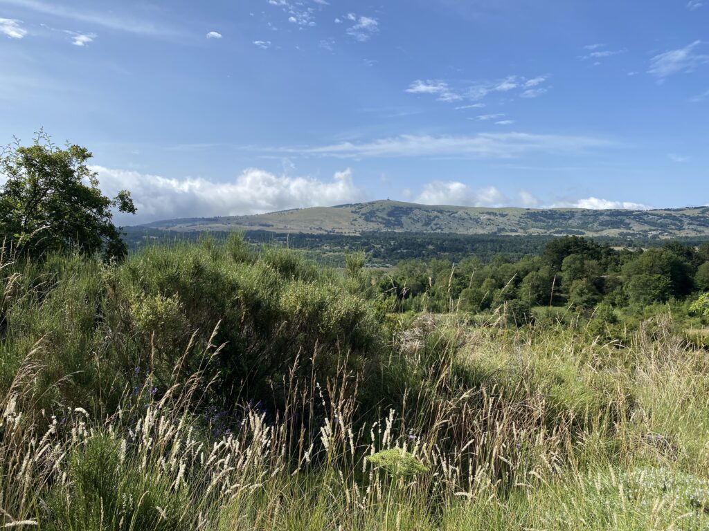 Caussols