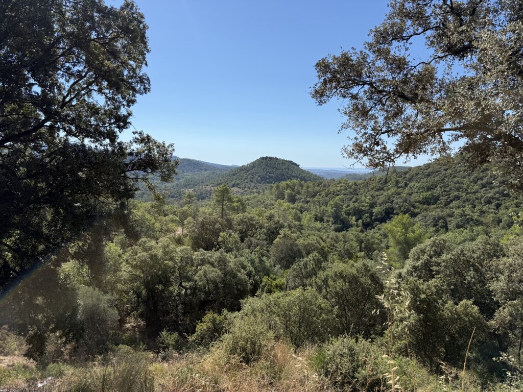 Estérel