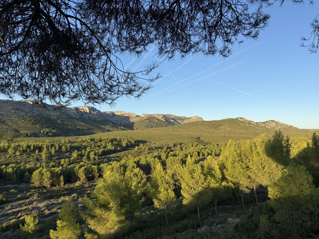 Cassis