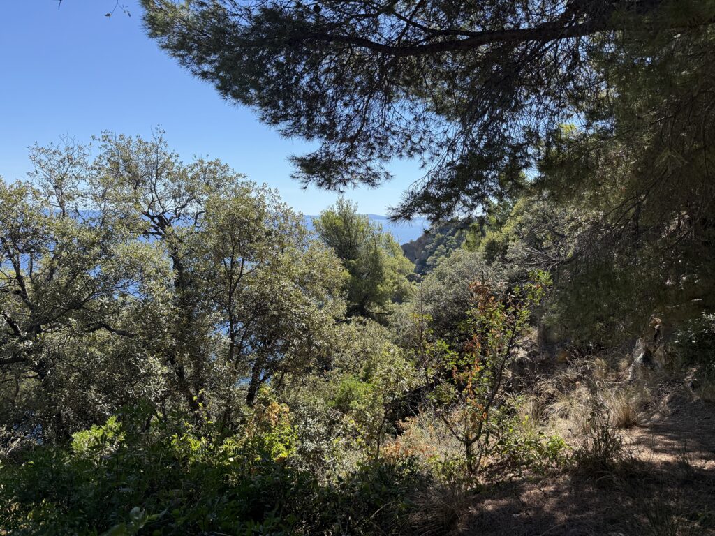 Rayol-Canadel-sur-mer
